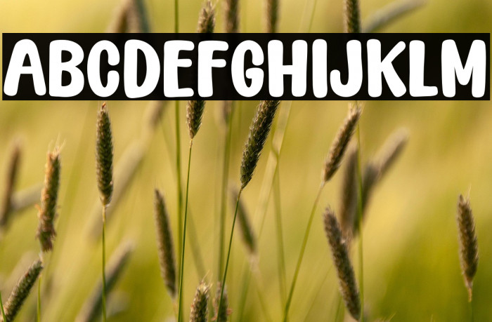 Song of Valentine Sans Fonte examples