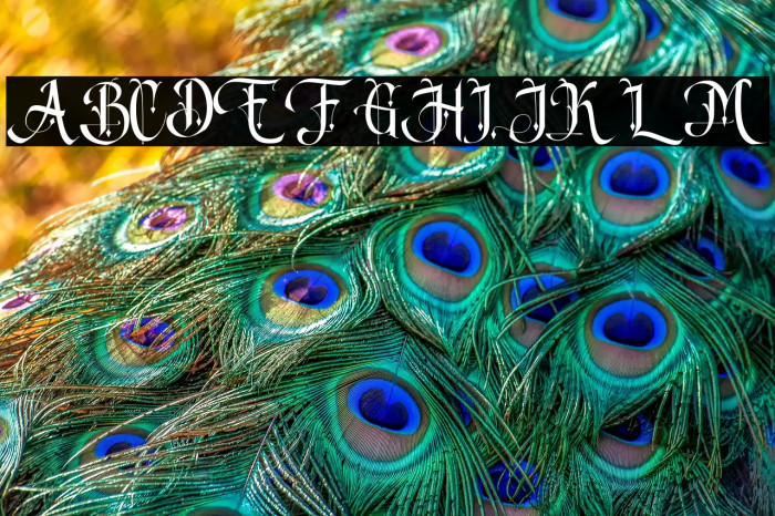 Song of coronos Example 2