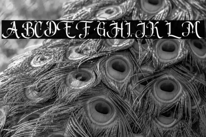 Song of coronos Font examples