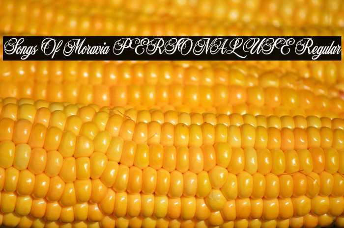 Songs Of Moravia PERSONAL USE Regular Example 1