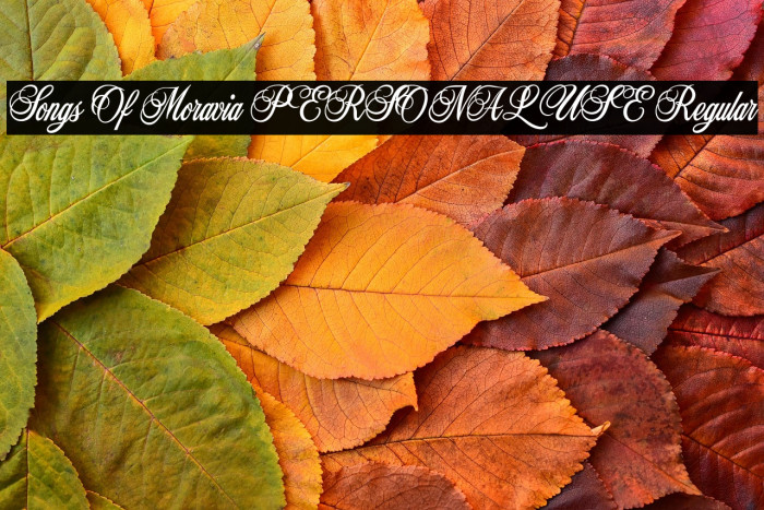 Songs Of Moravia PERSONAL USE Regular Example 2