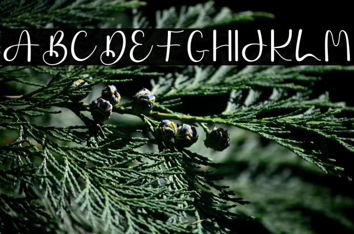 Songs Style Example 1