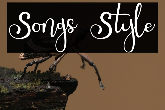 Songs Style Example 3