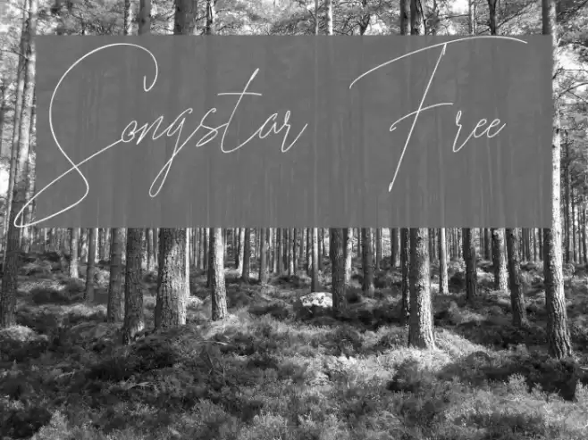 Songstar Free Font examples