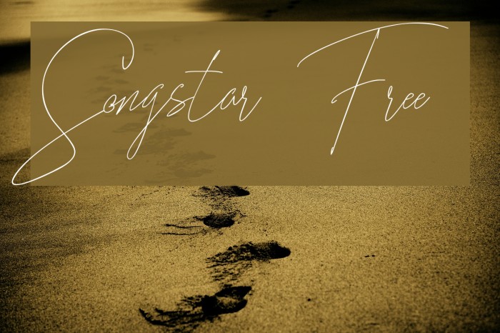 Songstar Free Example 2