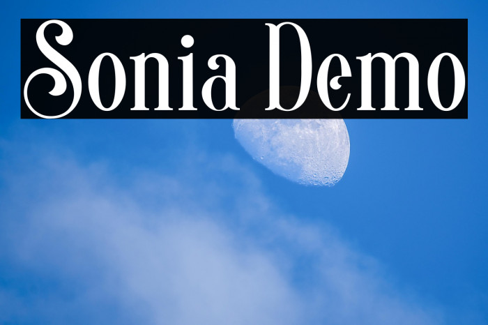 Sonia Demo Example 2