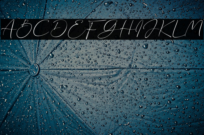 Sonia Evans Example 1