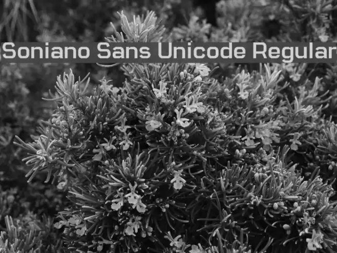 Soniano Sans Unicode Regular Fuentes examples