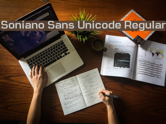 Soniano Sans Unicode Regular Font examples