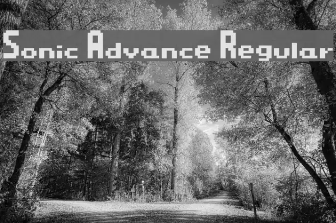 Sonic Advance Regular Font examples