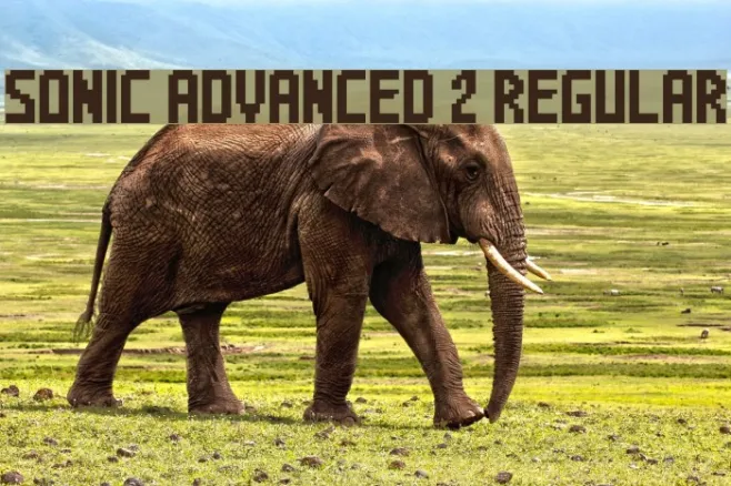Sonic Advanced 2 Regular Example 2