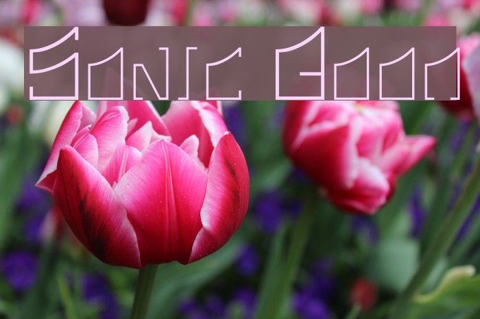 Sonic Boom Example 2