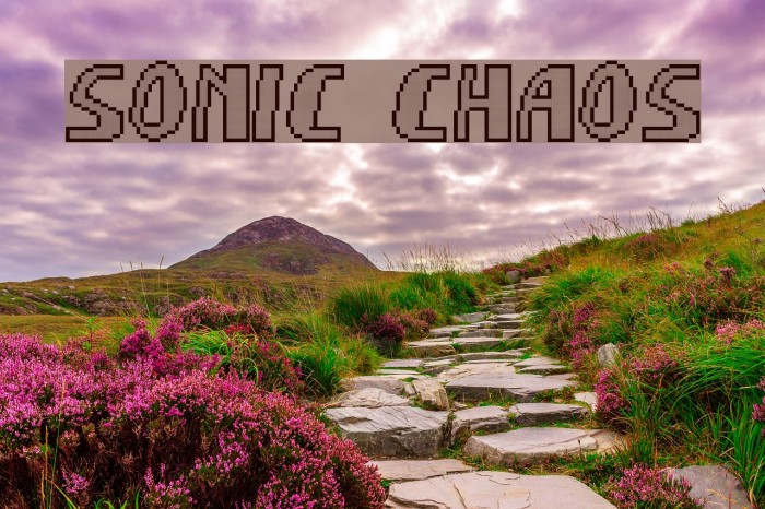 Sonic Chaos Example 3