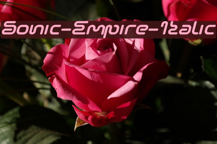 Sonic-Empire-Italic Font examples