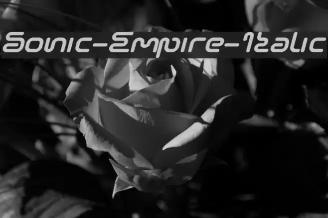 Sonic-Empire-Italic Fonte examples