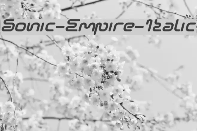 Sonic-Empire-Italic Fonte examples