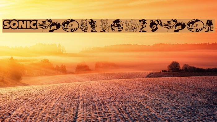 Sonic Mega Font Font examples