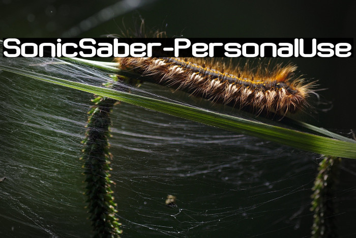 Sonic Saber - Personal Use Example 3