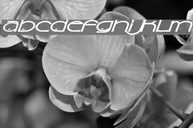 Sonic Superpowers Font examples