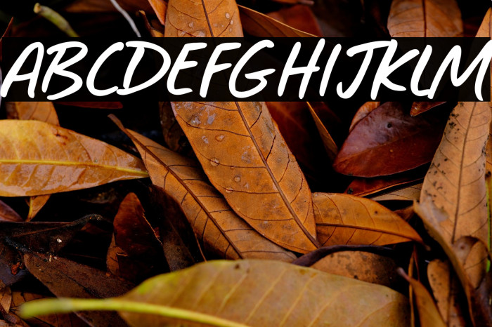 Sonic Waves Example 3