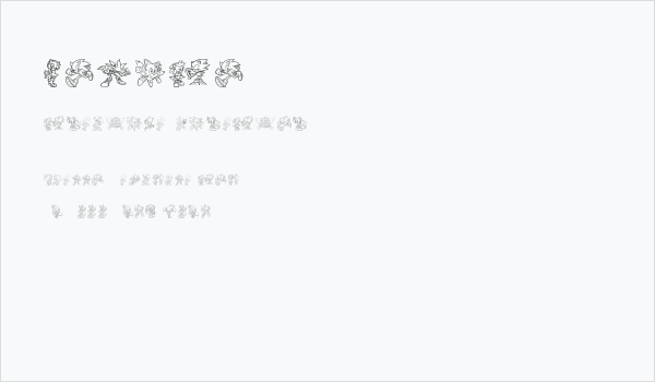 Sonico Business Card