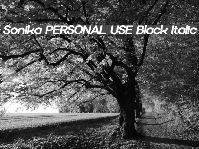 Sonika PERSONAL USE Black Italic Font examples