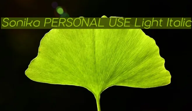 Sonika PERSONAL USE Light Italic Example 1