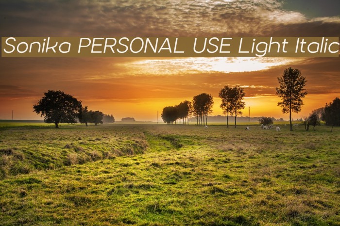 Sonika PERSONAL USE Light Italic Font examples