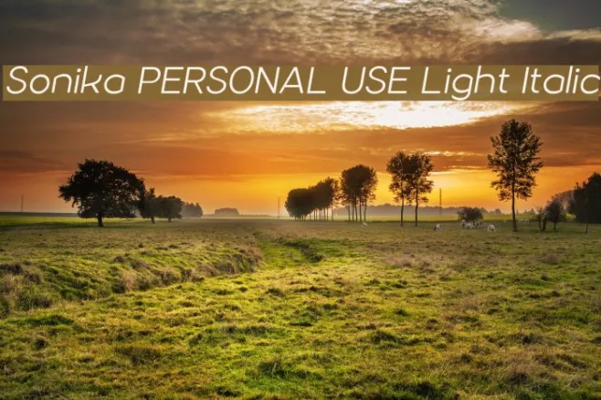 Sonika PERSONAL USE Light Italic Example 2