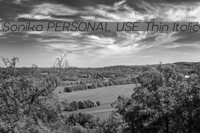 Sonika PERSONAL USE Thin Italic Font examples