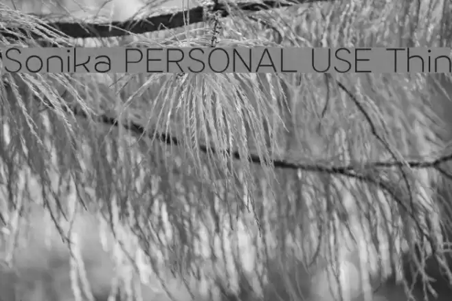 Sonika PERSONAL USE Thin Font examples