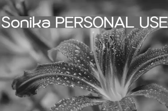 Sonika PERSONAL USE Font examples