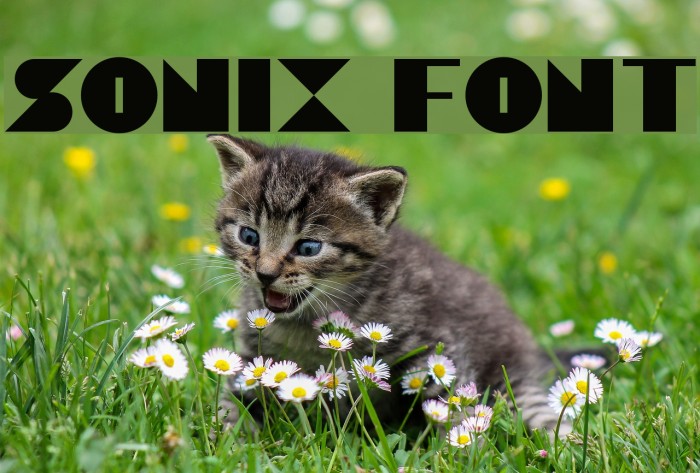 Sonix Font examples