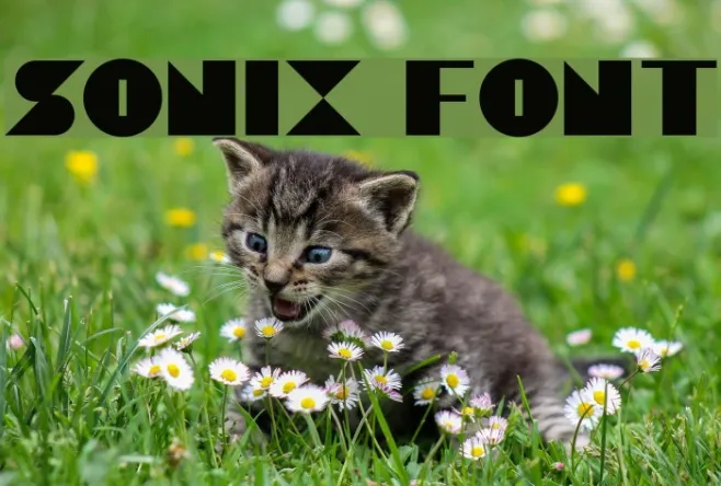 Sonix Example 3