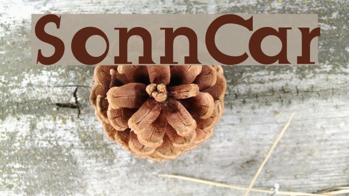 SonnCar Font examples