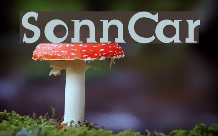 SonnCar Font examples