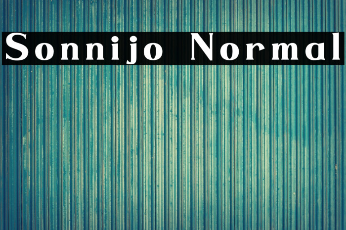 Sonnijo Normal Example 3