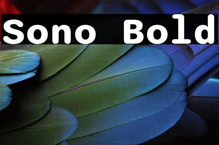 Sono Bold Font examples