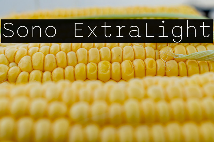 Sono ExtraLight Font examples
