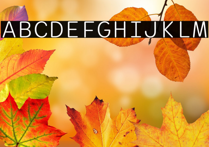 Sono Light Example 1