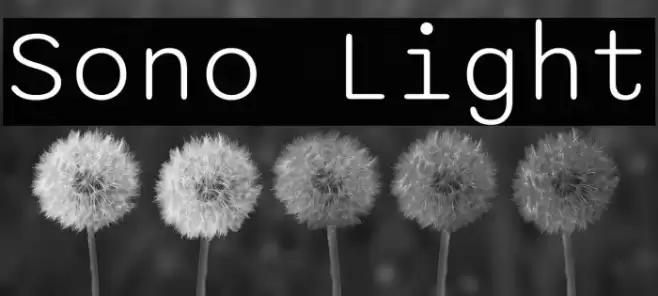 Sono Light Polices examples