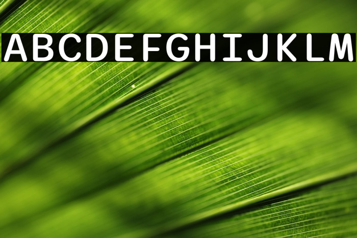 Sono Medium Example 2