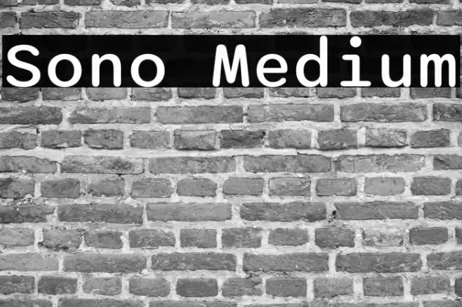 Sono Medium Polices examples