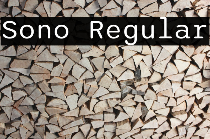 Sono Regular Font examples