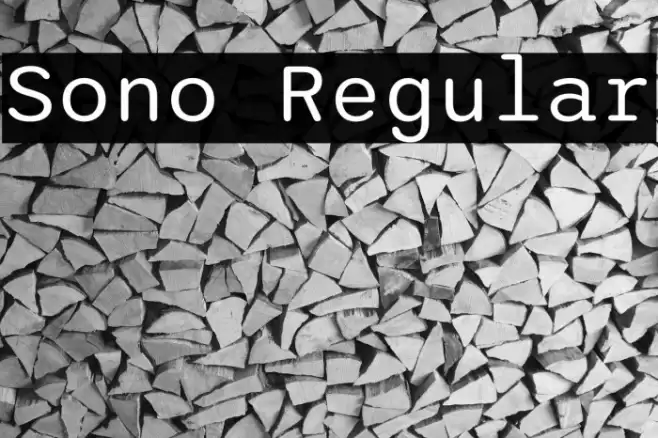 Sono Regular Fuentes examples