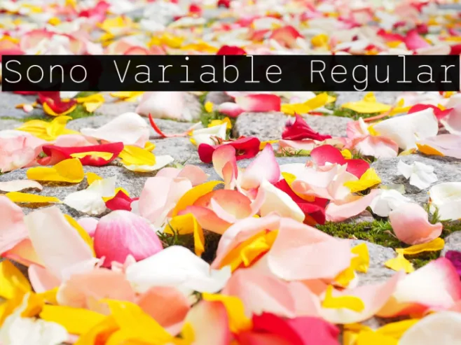 Sono Variable Regular Example 2