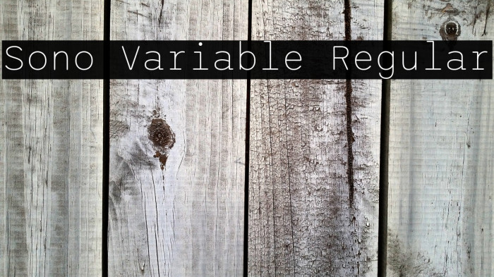 Sono Variable Regular Example 3