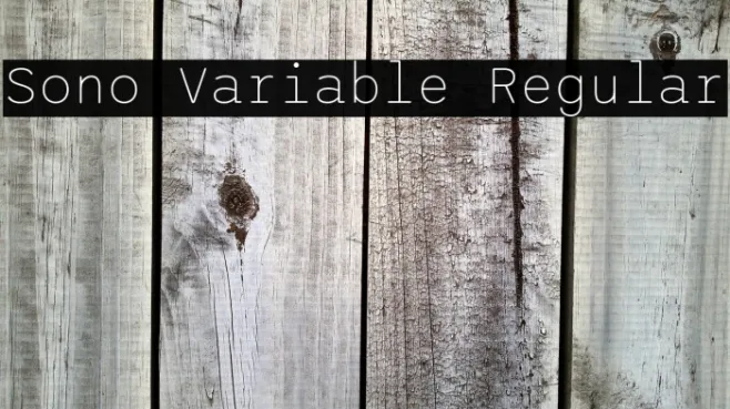 Sono Variable Regular Example 3