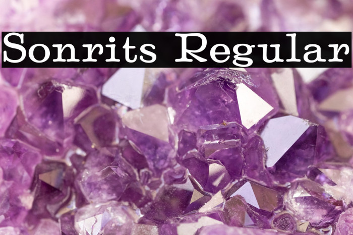Sonrits Regular Example 1
