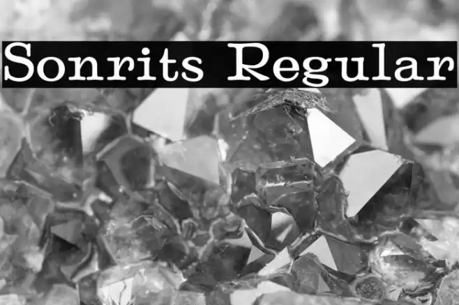 Sonrits Regular Font examples